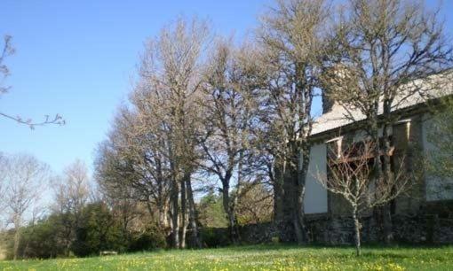 Hostal Casa Sario Jaurrieta 외부 사진